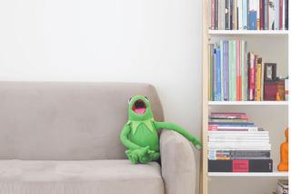 Busca en casa un área silenciosa, con lacantidad de luz (natural o artificial) adecuada para leer. Acondiciónala de manera que invite a los pequeños a coger un libro y pasar tiempo en ese espacio. Llénalo de almohadas, cojines y mantas, y mantén una variedad de libros a la vista.