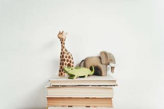 Esta estrategia se centra en lograr que se acostumbren a ver los libros como parte de su vida diaria. En casa, colócalos en un lugar a la vista y alcanzable, lleva un libro siempre en el bolso, maletín o mochila e incluso en el coche, y si frecuentan algún otro lugar como la casa de los abuelos, asegúrate de que los puedan encontrar ahí también.